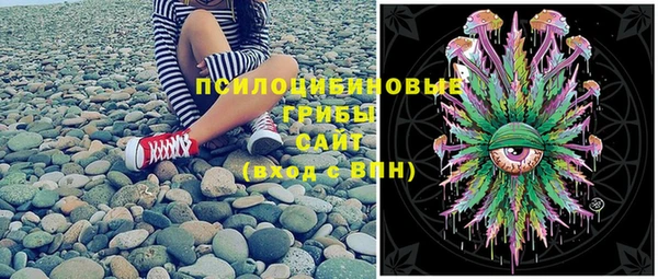 ALPHA PVP Всеволожск